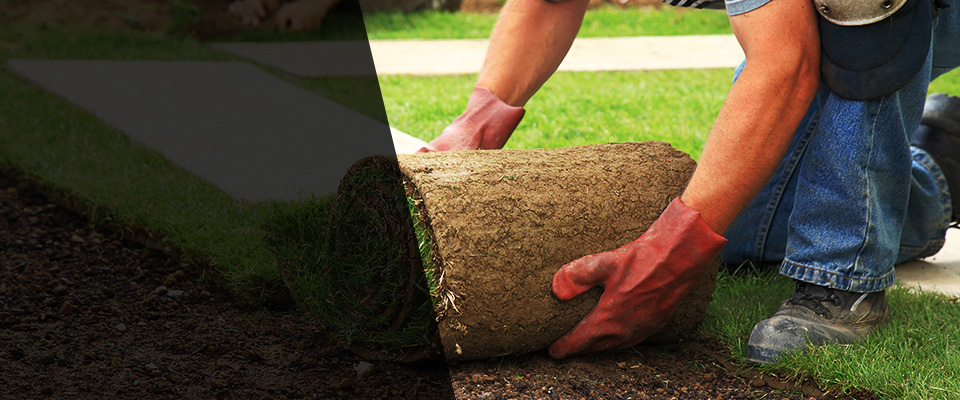 Renfrew Landscapers